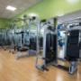 Gallery Professionale