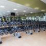 Gallery Professionale