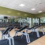 Gallery Professionale