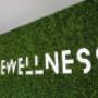 Gallery Professionale