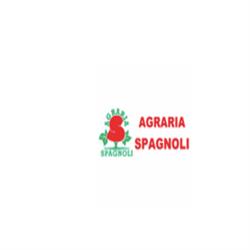 Agraria Spagnoli