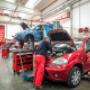 Gallery Professionale