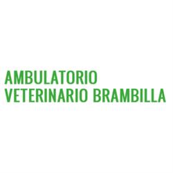 Ambulatorio Veterinario Brambilla