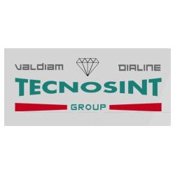 Tecnosint Group