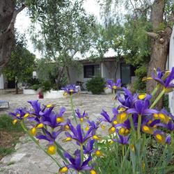 B&B Masseria Liberatore