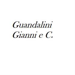 Autotrasporti Guandalini Gianni e C.