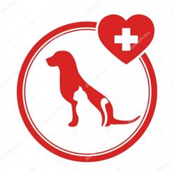 Ambulatorio Veterinario Carminiani