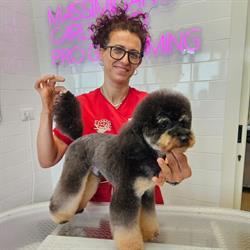 Toelettatura Zampettiamo cani e gatti di Rinalo Rosalba Ancona