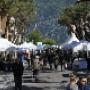Gallery Professionale