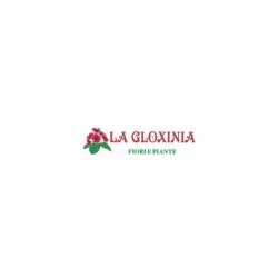 La Gloxinia Fiori e Piante