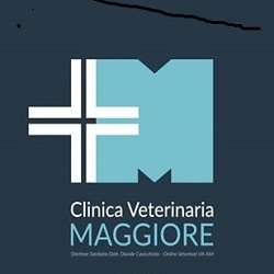Clinica Veterinaria Maggiore