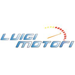 Luigi Motori - Auto e moto