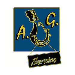 A.G. Service Gru Paranchi Carriponte
