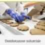 Gallery Professionale