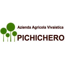 Pichichero Pasquale Vivai