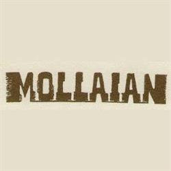 Mollaian Tappeti