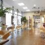 Gallery Professionale