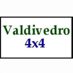 Auto Valdivedro 4x4