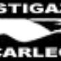 Logo Cliente