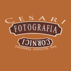 Laboratorio di Fotografia Marco Cesari