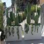 Realizzazione Giardini