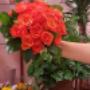 Profumo di Fiori