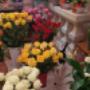 Profumo di Fiori