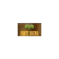 Centro Birra Fonte Boema