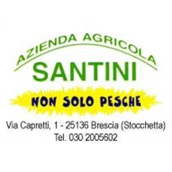 Agriturismo Fior di Pesco