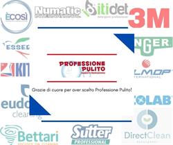 Professione Pulito