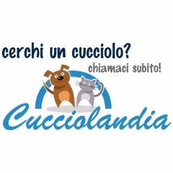 Cucciolandia