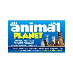 Animal Planet