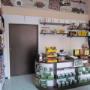 Coffee Store Pannone