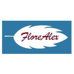 FloreAlex Piante e Fiori Fiorista Consegne a Domicilio