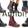 Anfibi