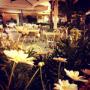 Kalliope Ristorante