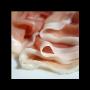 Prosciutto