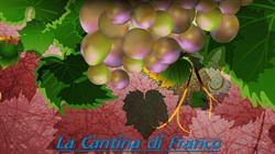 La Cantina di Franco
