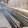 Gallery Professionale