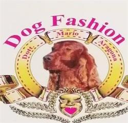 Dog Fashion