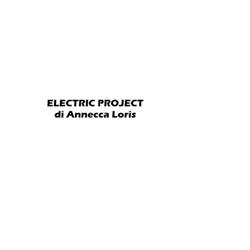 Electric Project