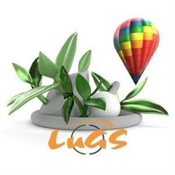 Lugs Servizi Edili Ambientali