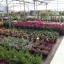 Vivaio Garden