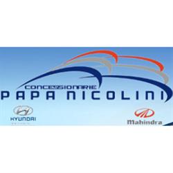 Concessionarie Papa - Nicolini