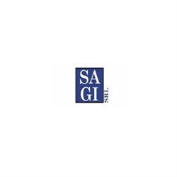 Sagi