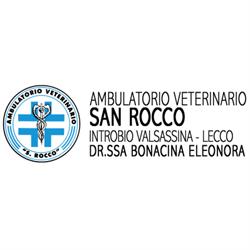 Ambulatorio Veterinario San Rocco - Dr.ssa Eleonora Bonacina