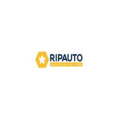 Ripauto | Autofficina Reggio Emilia