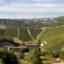 I Vigneti