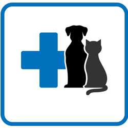 Ambulatorio Veterinario Dott.ssa Manferdi Valentina