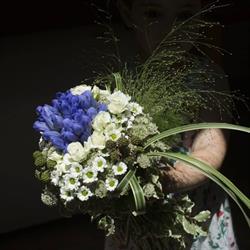 La Fata dei Fiori
